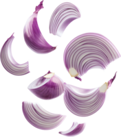 Floating red onion slices show a close-up view, displaying the concentric rings and purple hues. A culinary ingredient used in cooking. png