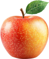 Vibrant apple with red, orange, and yellow hues stands out. A healthy fruit, ideal for snacking and baking, showing nature's beauty. png