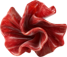 Abstract display of thinly sliced meat, layered into a flower-like pattern against a black backdrop creating a modern and minimalist aesthetic. png
