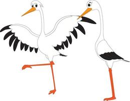 Cartoon of a funny pair of storks vector