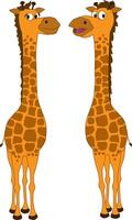 A cartoon of a friendly pair of giraffes vector