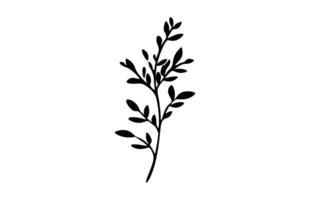 Thyme herb Clipart Silhouette isolated on white background vector