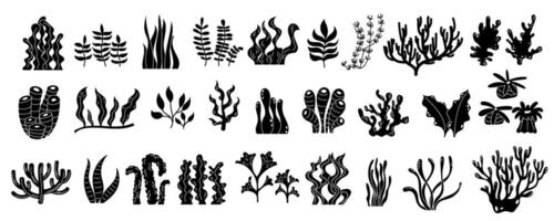 Black and white silhouette of underwater plants. Featuring marine reef flora, including seaweed and algae. Isolated aquatic life elements for various designs. vector