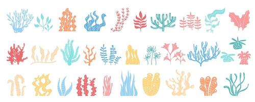 Underwater reef and marine plants set in vibrant colors. Varied sea flora like kelp, algae, seaweed with design elements. Beautiful aquatic life icons in cartoon graphic style. vector