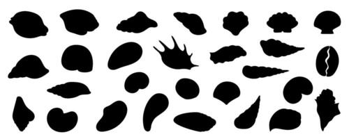Set of black seashell silhouettes on a white background. Includes different types of seashells, perfect for beach, ocean, and marine themes. Aquatic and reef environment set. vector