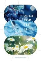 Top 10 Scent Pin Graphic Cover template