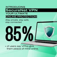 VPN Security Product Infographic for Linkedin Post template