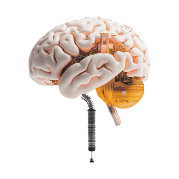 esplorando ai integrazione nel umano cervello funzionalità png