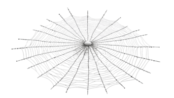Spiderweb intricate circular design on transparent background png