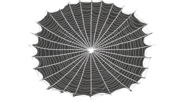 Spiderweb graphic design element on transparent background png