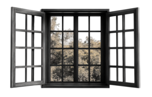 oscuro madera ventana con panelado vaso y árbol ver en transparente antecedentes png
