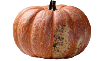 Orange pumpkin with brown spots on Transparent Background png