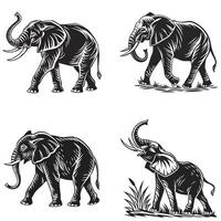 Elephant with Tusks Silhouette vector