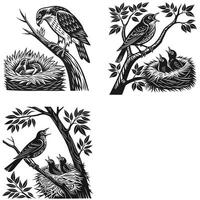 Nesting Birds Illustration with Mother Feeding vector
