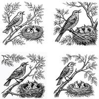 Feeding Time for Nesting Birds Silhouette vector