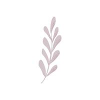 A purple leaf is shown on a white background vector