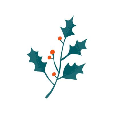 Holly branch with berries and leaves on white background