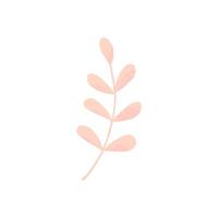 A pink leaf on a white background vector