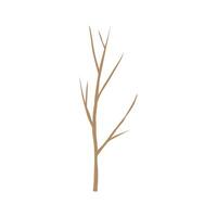 A tree with no leaves on it is shown vector