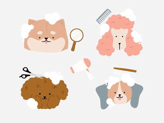 Cute dog with bubble at Groomer Salon Dog friendly area. Pet Hair Salon, Styling and Grooming Shop. Pet Store for Dogs with elements Cut Wool, Comb Brush, Drying, Hand mirror and comb illustration.