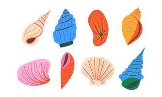 Hand Drawn Tropical Seashell Set. This set of eight vibrant, stylized seashells captures a range of unique shapes and bold colors. Ideal for beach and ocean-themed projects vector