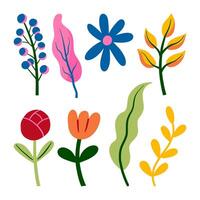 Hand drawn flower and leaf collection. A collection of 8 unique hand drawn floral and leaf designs, perfect for botanical, decorative, or artistic projects vector