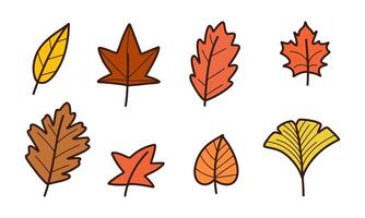 Autumn Hand Drawn Leaf Collection. A set of eight hand-drawn autumn leaves, ideal for fall designs and seasonal projects vector