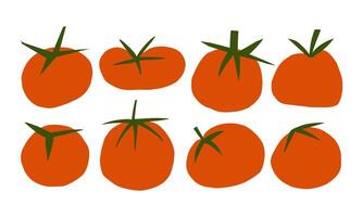 Hand Drawn Tomato Icon Set with Rustic Style. A collection of hand-drawn tomato illustrations with vibrant red tones and green stems, perfect for food-related projects and rustic designs vector