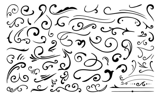 Hand drawn calligraphy curvy lines with floral decoration Featuring decorative curls swirls and ornate flourishes Perfect for pointed pen ink calligraphy style designs