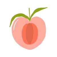 A peach with a green leaf on it vector