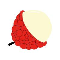 A red and white fruit with a white center vector