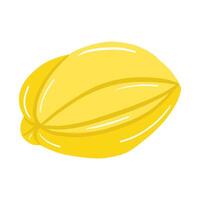 A yellow fruit on a white background vector