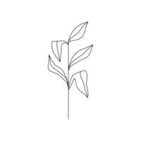 Abstract herb leaves continuous line art drawing botanical elegant illustration vector