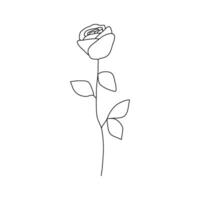 Set of sketches hand drawn abstract rose line art illustration vector