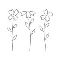 Modern Trendy Outline Style Spring Botanical Abstract three minimalist flowers floral elements illustration. vector