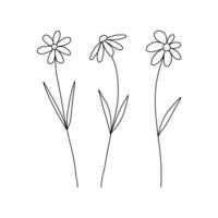 Beautiful abstract three flowers and leaves bloom continuous line art in elegant style for prints, posters, textile, cards etc illustration vector
