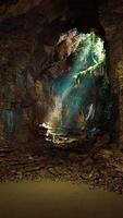 Cave Filled With Trees and Rocks video