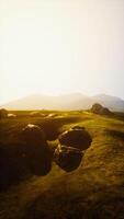 Grassy Field With Large Rocks video