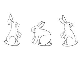 Set of hand drawn rabbit, bunny line drawing illustration vector