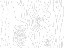 Wood grain white texture. Seamless wooden pattern. Abstract line background. Tree fiber wallpaper vector