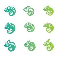 Veiled Chameleon Collection Logo Design vector