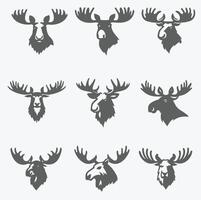 Bold Moose collection logo vector