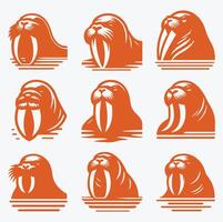 Walrus Haven collection logo vector