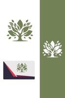 Juniper Springs tree vector