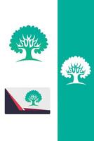 Olive Grove tree vector