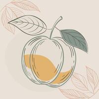 an apple with leaves and leaves on it vector