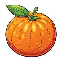 an orange with leaf on it vector