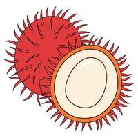 an illustration of a rambutan fruit vector