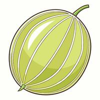 a green fruit with stripes on it vector