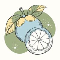 an illustration of a lemon with leaves vector